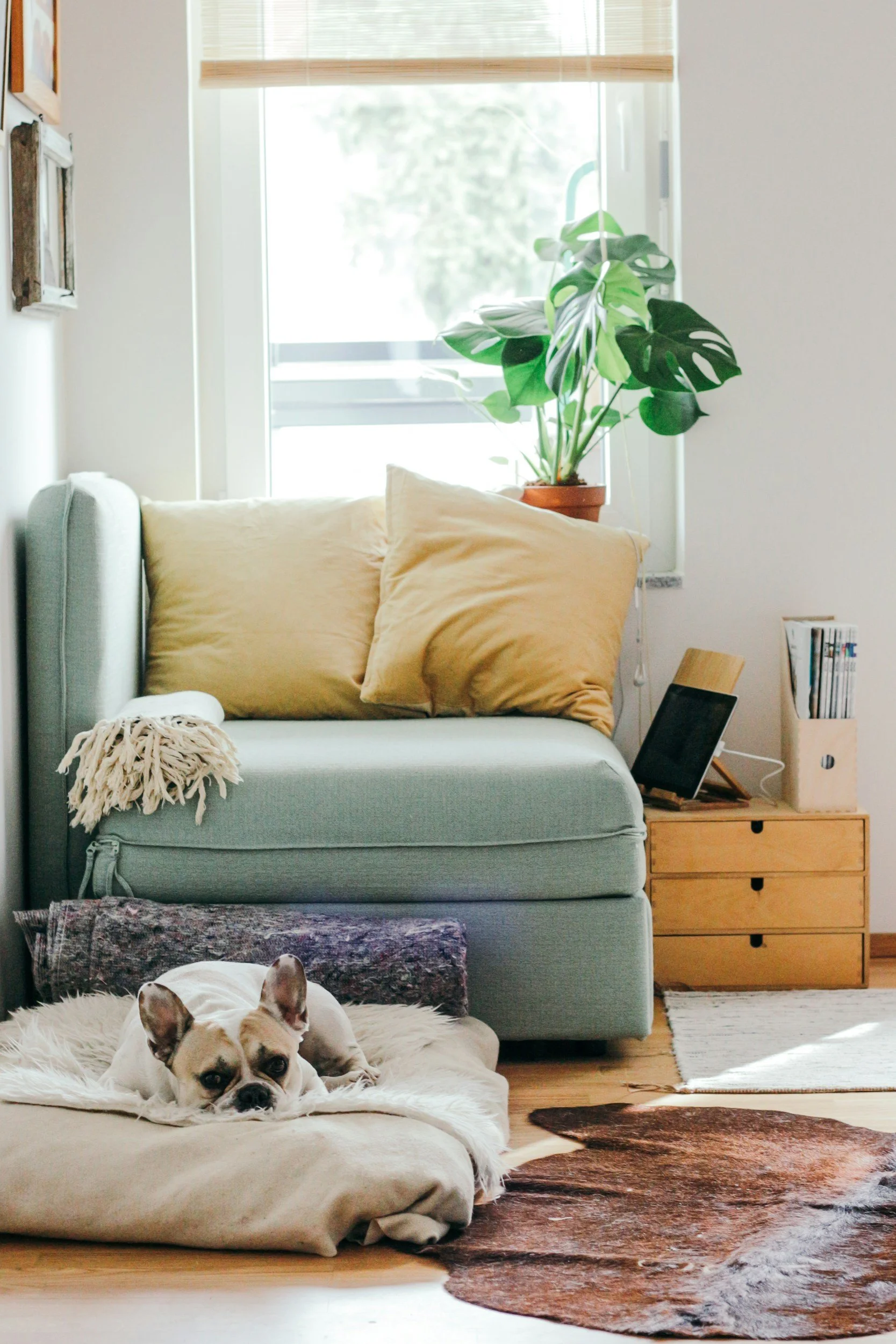 Light-filled living space in a newly built home